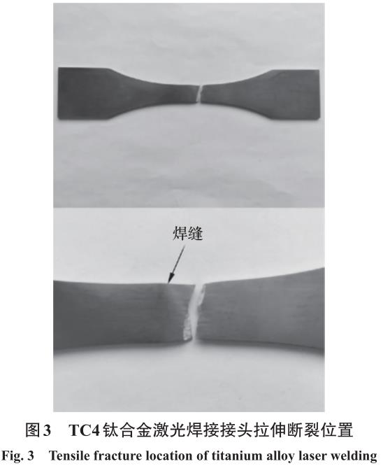 1700741753920287.jpg t3.jpg