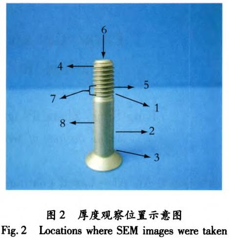 t2.jpg