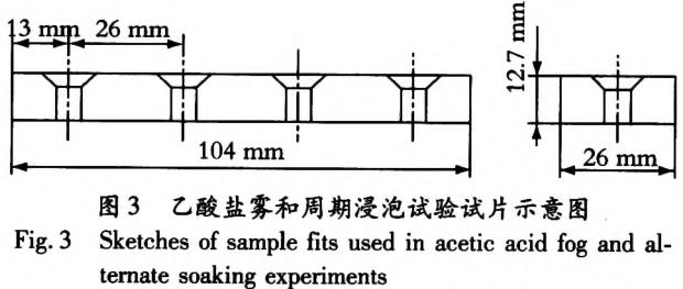 t3.jpg