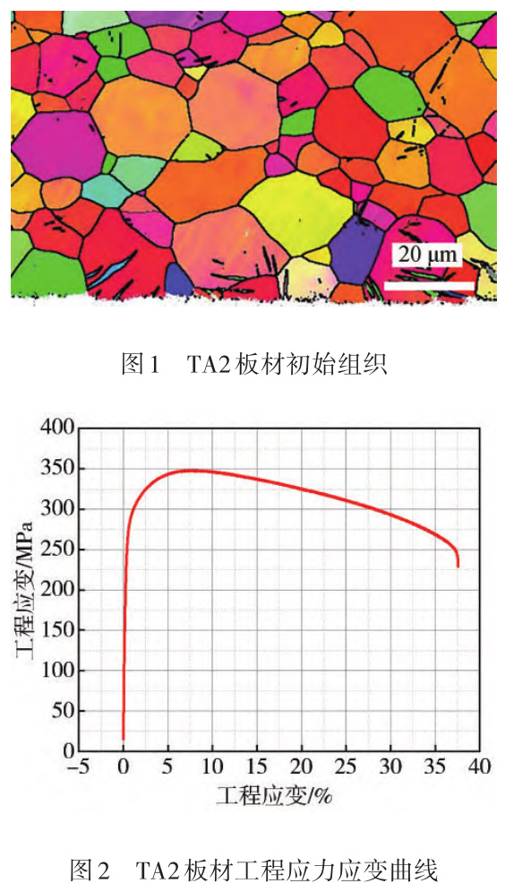1726923138684436.jpg t1-2.jpg