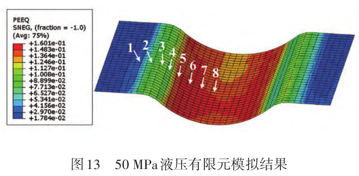 1726923244132208.jpg t13.jpg