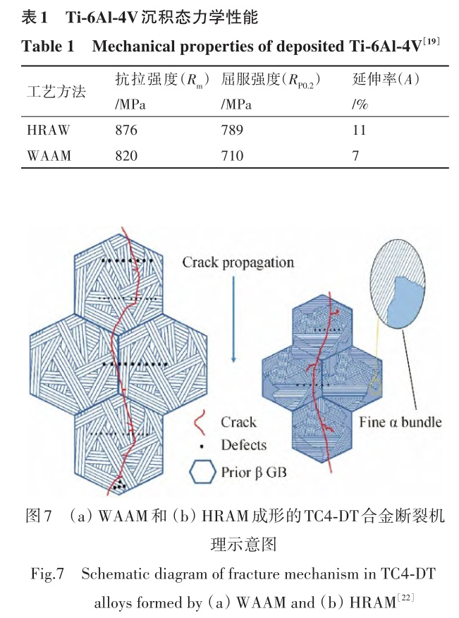 1728896779703700.jpg b1-t7.jpg