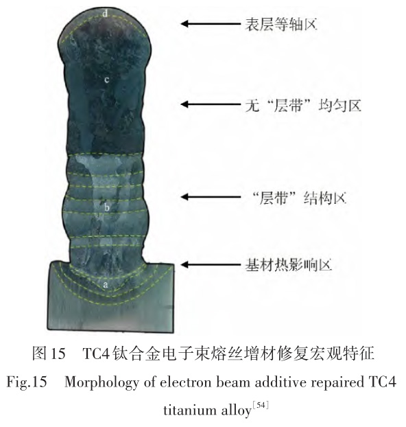 1728896845522628.jpg t15.jpg