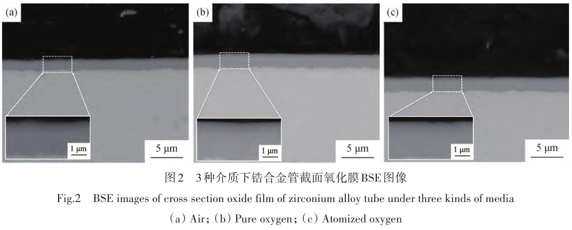1730084888112389.jpg 360截图16470413556999.jpg