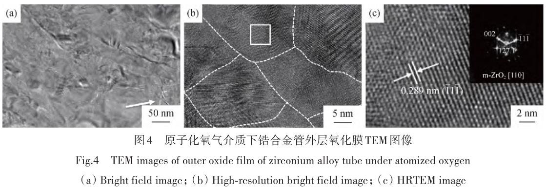 1730084908297870.jpg 360截图16550425546473.jpg