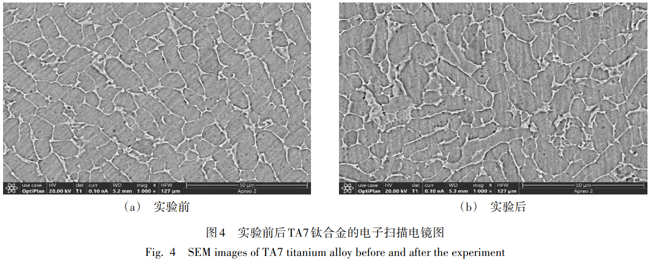 1743412160985302.png 截图20250331170615.png