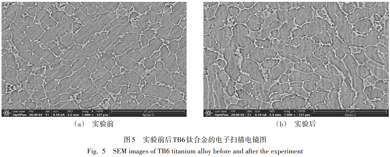 1743412167659351.png 截图20250331170627.png
