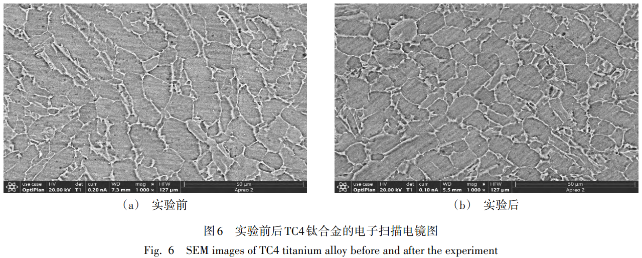 1743412175737388.png 截图20250331170642.png